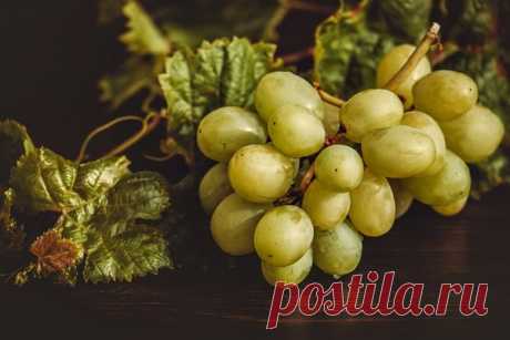 Осенний уход за виноградом | Сила Жизни | Яндекс Дзен