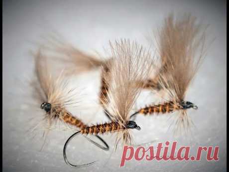 March Brown dry fly         #StayHome #ZostańWDomu #UkręćMuchę