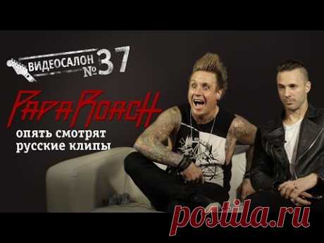 Papa Roach смотрят русские клипы (Видеосалон №37)