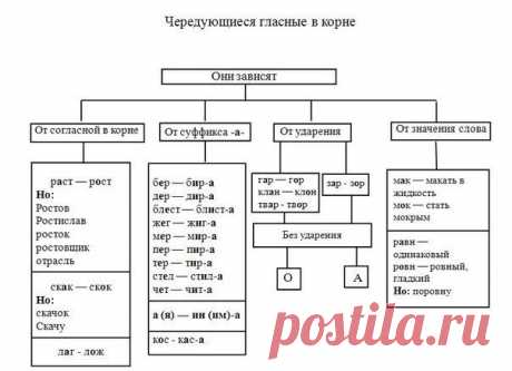 Освежаем в памяти главные правила русского языка — Полезные советы