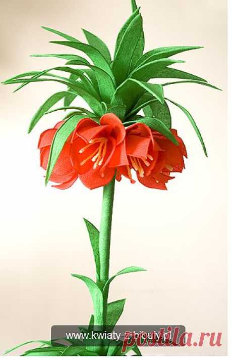 Ну очень красивый цветок из гофрированной бумаги!.