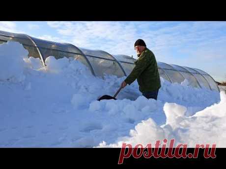 САМАЯ ПРОЧНАЯ ТЕПЛИЦА! Откопали из снега, буду сажать!