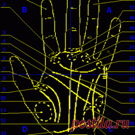 Гадание по руке