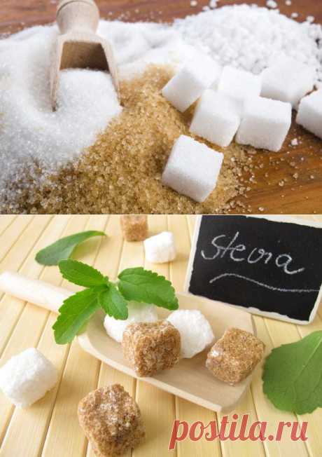Пять натуральных сахарозаменителей / Будьте здоровы