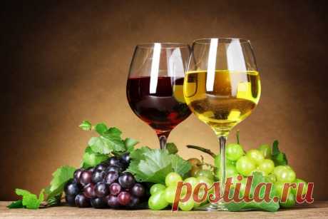 Как определить настоящее вино | Делимся советами