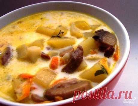 Суп из свежих вешенок - пошаговый кулинарный рецепт