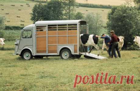 Citroen Type H Van.