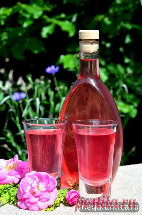 Ликер из чайной розы: рецепт | Мегалантика