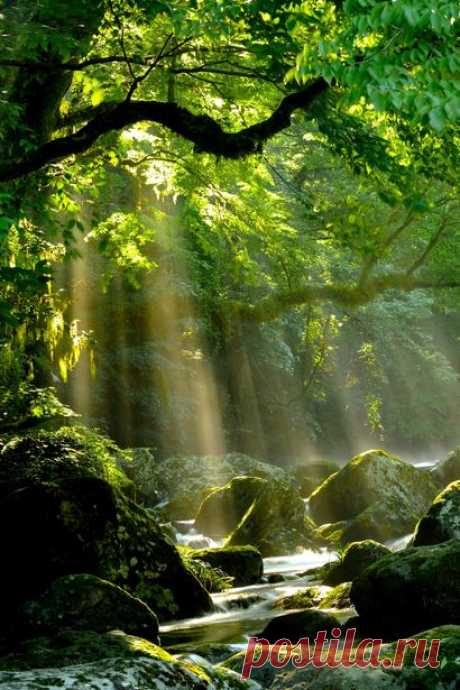 Welcome! :) — lifeisverybeautiful: Kikuchi gorge, Kumamoto,...