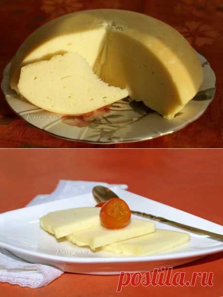 Десертный сыр | Кошкин дом