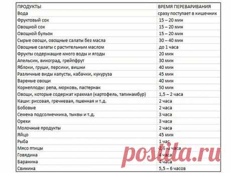 ⓵ ВРЕМЯ ПЕРЕВАРИВАНИЯ ПИЩИ В ЖЕЛУДКЕ ЧЕЛОВЕКА