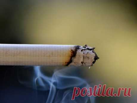 Правительство готовит новый удар по курильщикам: одинаковые пачки и цена от 180 рублей. - Деловой квартал