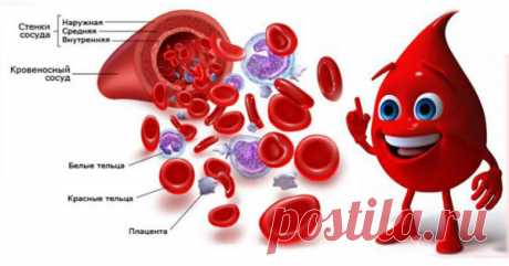 Обнови кровь! Простое и мощное средство улучшит состав и качество КРОВИ! Смотри… Вы чувствуете себя усталым и слабым, пришло время обновить кровь и улучшить её состав! Смотри, как это сделать просто! Ни для кого не секрет, что кровь является основой нашего здоровья, от её качества зависят все процессы, происходящие в наших органах и клетках. Китайские врачеватели говорят …