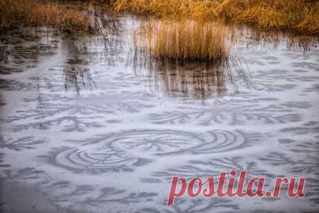 Бьющие с глубины озера родники создают на молодом льду рисунки немыслимой красоты, – рассказывает фотограф Павел Сагайдак: nat-geo.ru/photo/user/27077/ Снимок сделан в Орске, Оренбургская область.