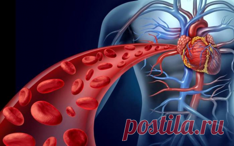 Как разжижать кровь в организме.