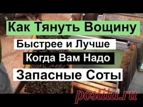 Пасека # 85 Как Заставляем Тянуть Вощину , Когда Вам надо Соты Пчеловодство для начинающих