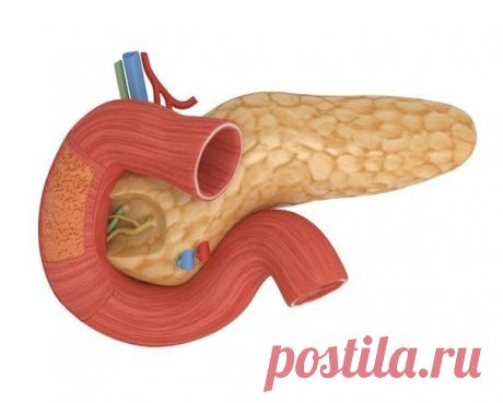 КАК ЗАЩИТИТЬ ПОДЖЕЛУДОЧНУЮ ЖЕЛЕЗУ — 5 ВАЖНЫХ СОВЕТОВ