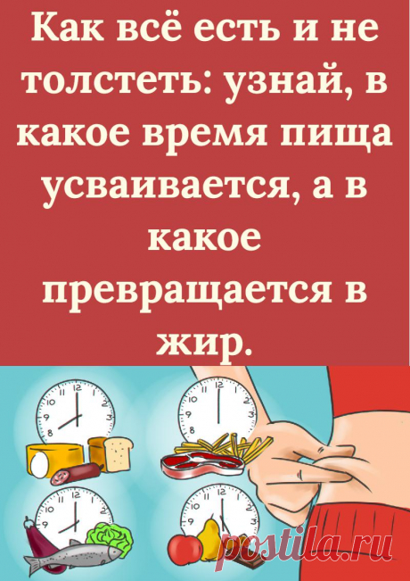 Как всё есть и не толстеть: узнай, в какое время пища усваивается, а в какое превращается в жир.