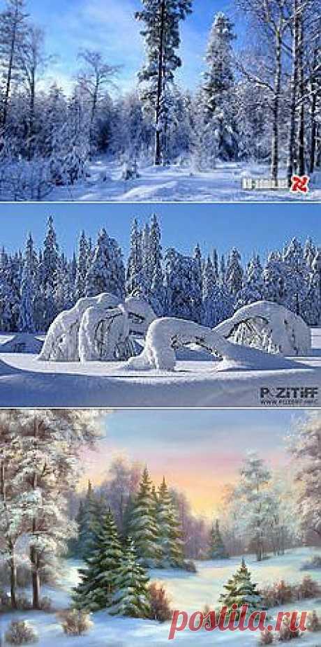 зимний лес картинки: 305 тыс изображений найдено в Яндекс.Картинках