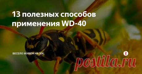 13 полезных способов применения WD-40 На что способен волшебный баллончик, который можно купить в магазине от 200 рублей?
