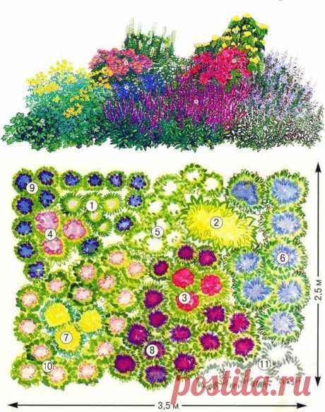 КРАСИВАЯ КЛУМБА ИЗ МНОГОЛЕТНИКОВ