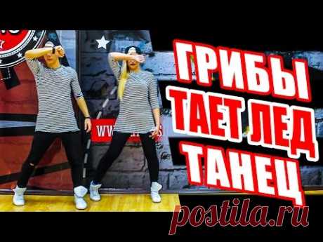 ТАНЕЦ - ТАЕТ ЛЕД - ГРИБЫ #DANCEFIT