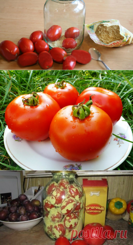 Как сохранить помидоры свежими до Нового года: простой, но действенный способ!