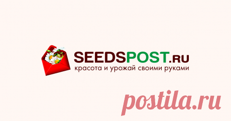 Семена Купить Семена в интернет магазине Seedspost.ru по низкой цене. Доставка курьером или почтой по России и Казахстану.