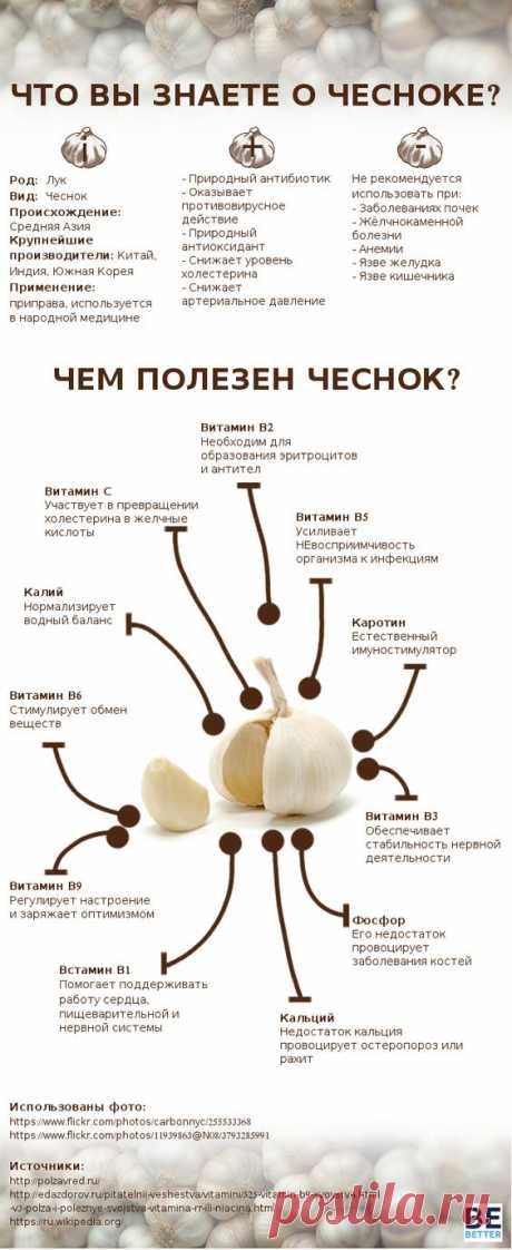 Полезные заметки и советы в инфографике