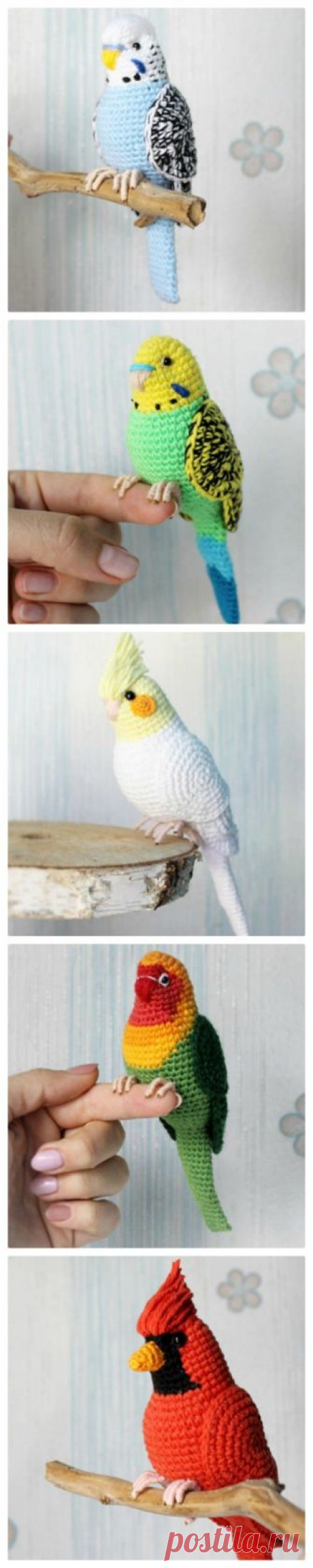 Discover thousands of images about Crochet Bird Patterns You Will Love