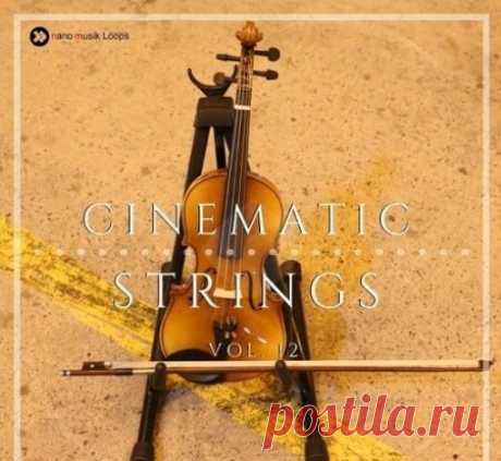 Nano Musik Loops Cinematic Strings Vol.12 [WAV, MiDi] f
https://specialfordjs.org/flac-lossless/76170-nano-musik-loops-cinematic-strings-vol12-wav-midi.html