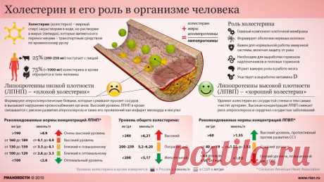 Норма холестерина в крови у женщин и мужчин по возрасту, таблица. Холестерин «плохой» и «хороший»