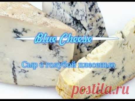 Мастер-класс: Домашний сыр с голубой плесенью