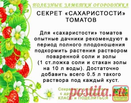 КОПИЛОЧКА  ОГОРОДНИКА!
Сохраните и поделитесь с друзьями!
#✒ЗаметкиОгородника✒