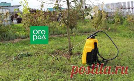 Чем опрыскать деревья от вредителей осенью | В саду (Огород.ru)