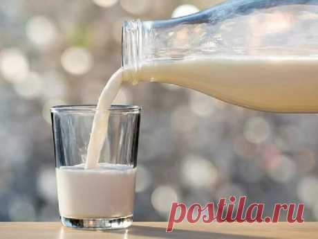 Медики рассказали, как молоко ухудшает симптомы простуды - Медицина 2.0