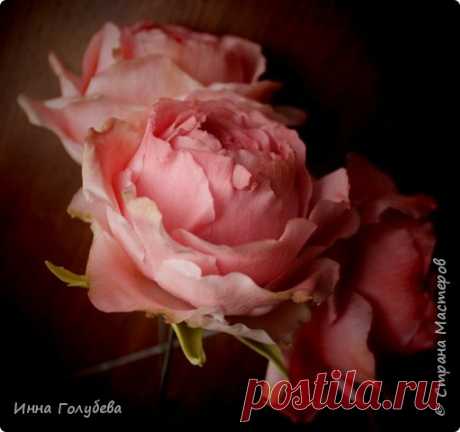 Пионовидные розы из х.ф.Мастер- класс. | Страна Мастеров