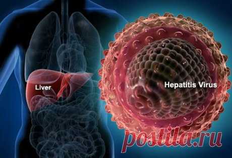 Почему нужно знать про гепатит?