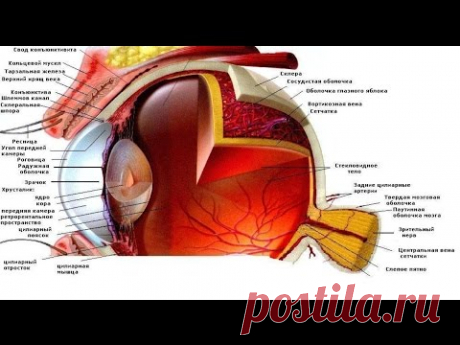 Деструкция стекловидного тела. Мушки. Лечение. Часть 1