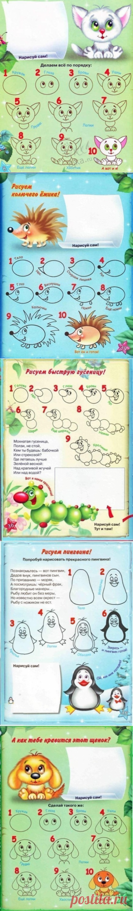 Уроки рисования: как нарисовать котенка, ежика, бабочку, гусеницу, пингвина, цыпленка - Поделки с детьми | Деткиподелки