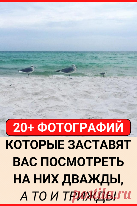 20+ фотографий, которые заставят вас посмотреть на них дважды, а то и трижды
#юмор #прикол #смешно #смешное #смешной_юмор #самое_смешное #смешное_фото