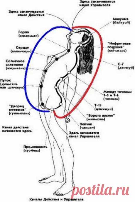 Зачем держать язык за зубами или как сохранить энергию?