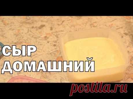 Домашний твердый сыр из творога - YouTube