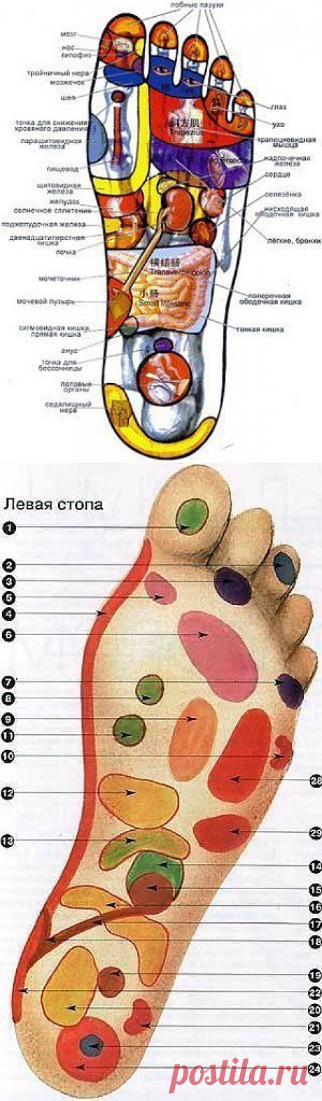 Массаж стоп для улучшения состояния здоровья