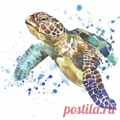 Sea Turtle T-shirt Graphics. Sea Turtle Illustration With Splash Watercolor Textured Background. Unusual Illustration Watercolor Stock Illustration - Illustration of reptile, graphics: 56428477 Illustration about Sea turtle T-shirt graphics. sea turtle illustration with splash watercolor textured background. Illustration of reptile, graphics, cute - 56428477