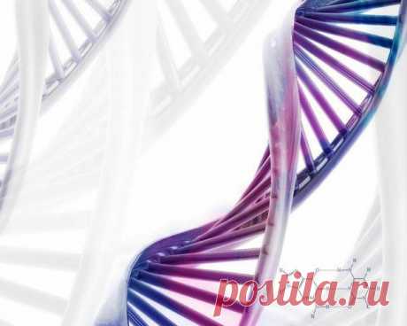 У генетического кода ДНК есть второе значение.