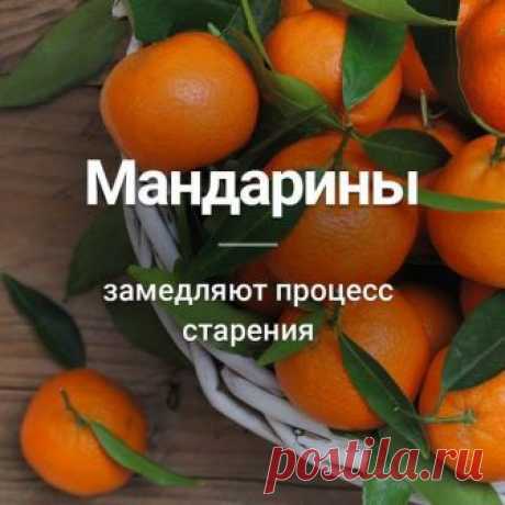 (1) Интересные факты и истории - Фото