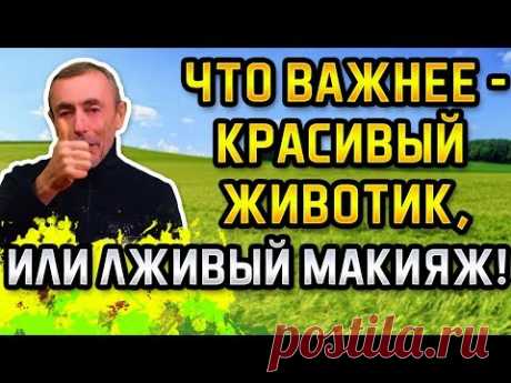 ЧТО ВАЖНЕЕ - КРАСИВЫЙ ТРЕНИРОВАННЫЙ ЖИВОТИК, ИЛИ ЛЖИВЫЙ МАКИЯЖ! КАК НАКАЧАТЬ ПРЕСС Запор пищеварение