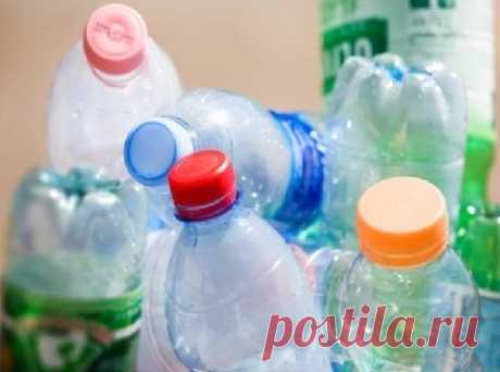 Необычная поделка из нескольких пластиковых бутылок | Идеи DIY | Яндекс Дзен