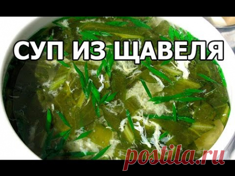 Суп из щавеля. Необычный суп со щавелем с мясом!